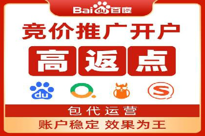 百度推广运营实战：成功案例解析
